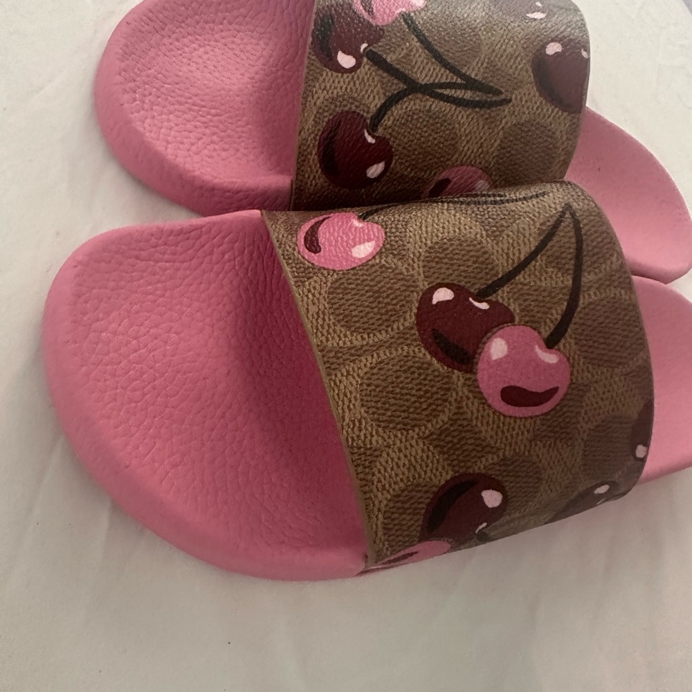 Coach Pink and Brown Cherry Slide Sandals